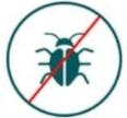 Insects